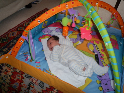 3 Oct playgym.jpg